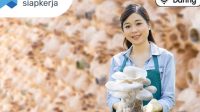 BL_Budidaya_Jamur_Tiram_untuk_Petani_Jam_20230626064151.png