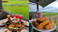 Cafe-Dengan-Pemandangan-Sawah-Padi-di-Johor-Cafe-Singgah-berangin-%40-Homestay-Singgah-Sawah-House-Sawah-Sarang-Buaya-Mukim-Sg.-Balang-Muar-8400-Johor.jpg