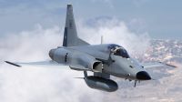 Chile_Air_Force_Northrop_F-5E_Tigre_III_Lofting-1.jpg