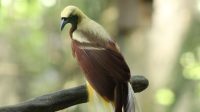 IMG_7477-scaled.jpg