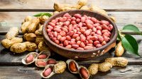 Kesehatan_Manfaat-Kacang-Tanah_Envato.jpg