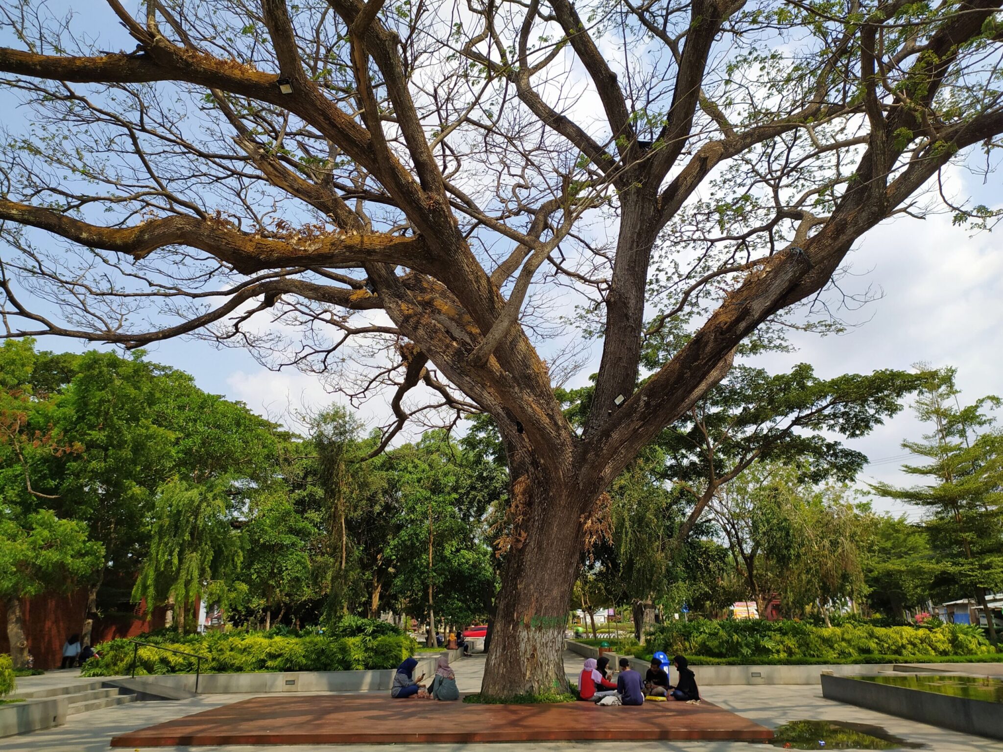 Pengunjung-Duduk-Santai-di-Bawah-Pohon-di-Taman-Sekartaji-Kediri-Muhammad-Dika-Google-Maps-scaled-2048x1536.jpg