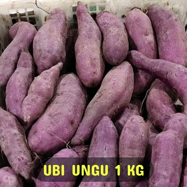 S8d1fd35a5be94b57a4b6c9e381bf8b58e.jpg