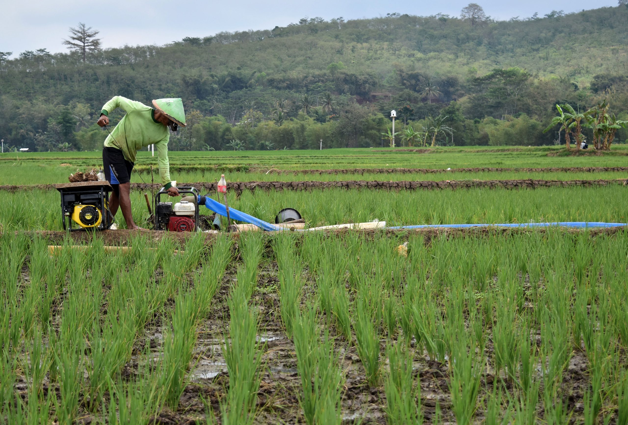 antarafoto-mengairi-sawah-saat-kemarau-250917-app-1.jpg