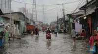 banjir-rob.webp