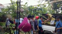 enrekang_20180813_194128.jpg