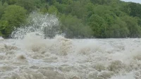 ilustrasi-banjir-1883735002.jpg