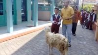 kisah-bocah-sd-di-lumajang-sisihkan-uang-saku-5-tahun-untuk-beli-kambing-kurban.jpg