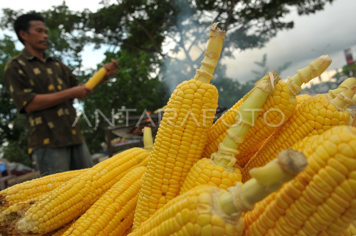 jagung-bakar-35a7-dom.jpg
