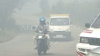 kabut-asap-kebakaran-semakin-tebal-174er-dom.jpg