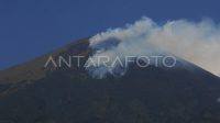 kebakaran-hutan-gunung-sindoro-meluas-ht6b-dom.jpg