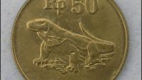 komodo%2Bkoin.jpg