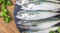 raw-mackerel-with-spices-scaled.jpg
