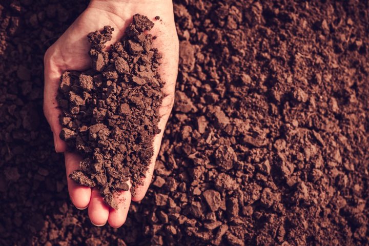 tanah-soil.jpg