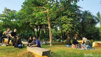 menikmati-sore-di-hutan-kota-gbk-7_169.jpeg