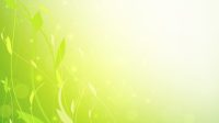 green-floral-background-vector-652325.jpg