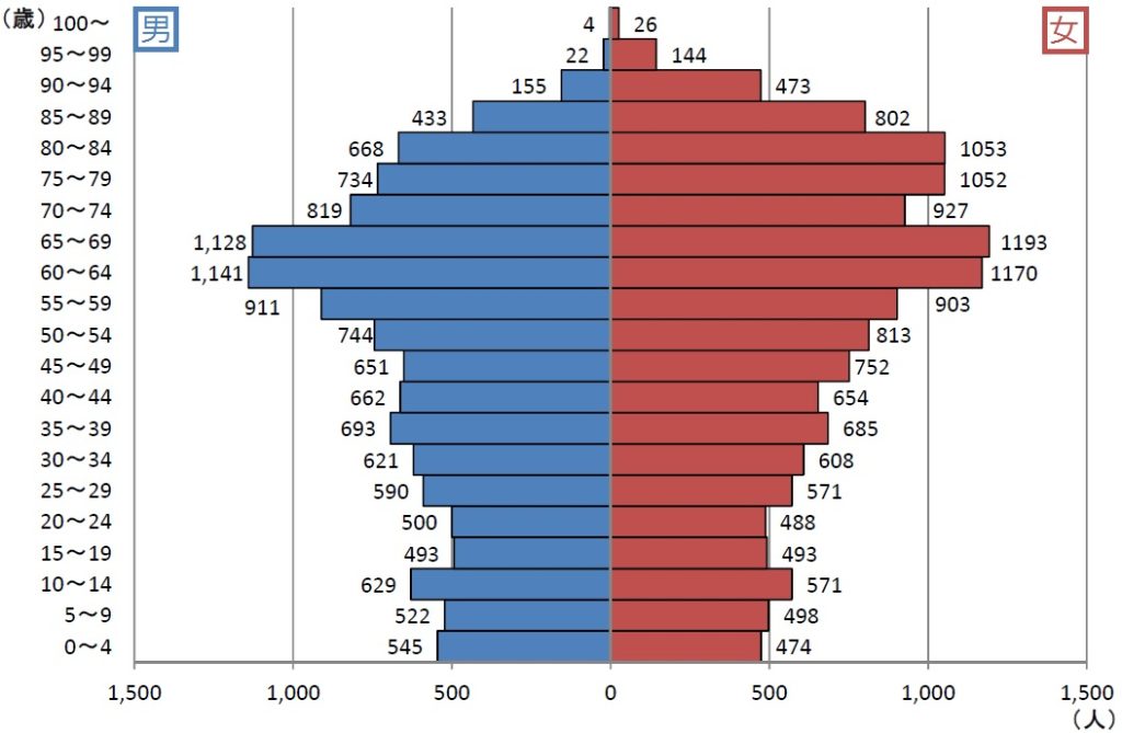 population_pyramid_H271001.jpg